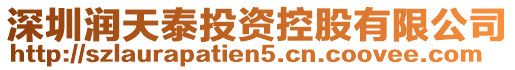 深圳潤天泰投資控股有限公司
