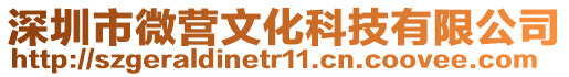 深圳市微營(yíng)文化科技有限公司