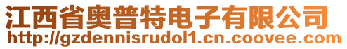 江西省奧普特電子有限公司