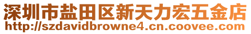 深圳市鹽田區(qū)新天力宏五金店