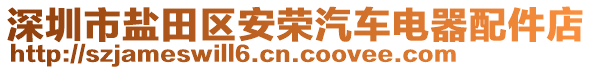 深圳市鹽田區(qū)安榮汽車電器配件店