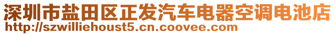 深圳市鹽田區(qū)正發(fā)汽車(chē)電器空調(diào)電池店