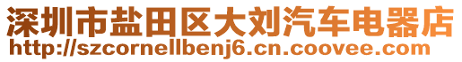 深圳市鹽田區(qū)大劉汽車(chē)電器店