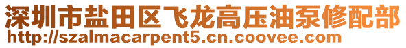 深圳市鹽田區(qū)飛龍高壓油泵修配部