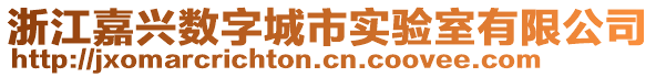 浙江嘉興數(shù)字城市實驗室有限公司