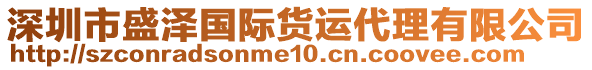 深圳市盛澤國(guó)際貨運(yùn)代理有限公司