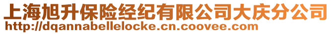 上海旭升保險經(jīng)紀有限公司大慶分公司