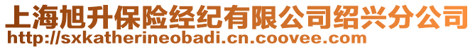 上海旭升保險(xiǎn)經(jīng)紀(jì)有限公司紹興分公司