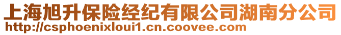 上海旭升保險(xiǎn)經(jīng)紀(jì)有限公司湖南分公司