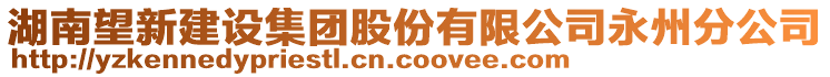 湖南望新建設(shè)集團股份有限公司永州分公司