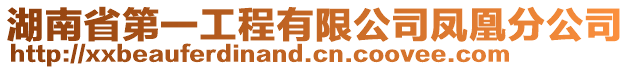 湖南省第一工程有限公司鳳凰分公司