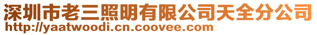 深圳市老三照明有限公司天全分公司