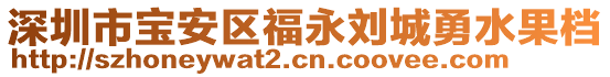 深圳市寶安區(qū)福永劉城勇水果檔