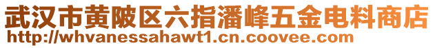 武漢市黃陂區(qū)六指潘峰五金電料商店