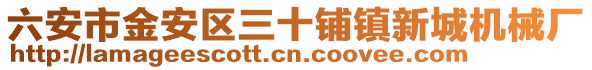 六安市金安區(qū)三十鋪鎮(zhèn)新城機械廠