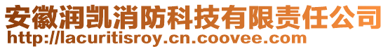 安徽潤凱消防科技有限責(zé)任公司