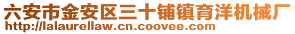 六安市金安區(qū)三十鋪鎮(zhèn)育洋機械廠