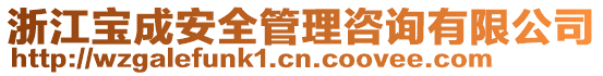 浙江寶成安全管理咨詢有限公司