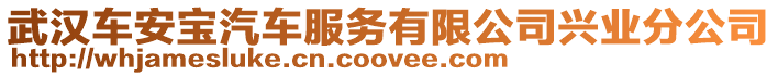 武漢車安寶汽車服務(wù)有限公司興業(yè)分公司