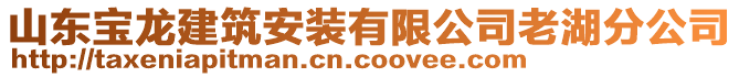 山東寶龍建筑安裝有限公司老湖分公司