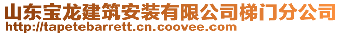 山東寶龍建筑安裝有限公司梯門分公司