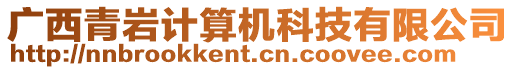 廣西青巖計算機科技有限公司