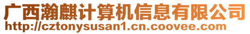 廣西瀚麒計算機信息有限公司