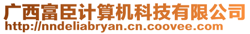 廣西富臣計算機科技有限公司