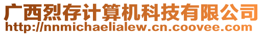 廣西烈存計算機科技有限公司