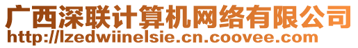 廣西深聯(lián)計(jì)算機(jī)網(wǎng)絡(luò)有限公司
