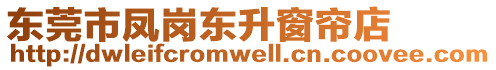 東莞市鳳崗東升窗簾店