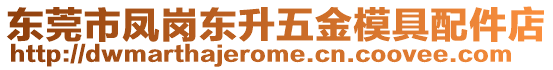 東莞市鳳崗東升五金模具配件店