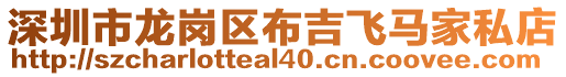 深圳市龍崗區(qū)布吉飛馬家私店