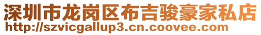 深圳市龍崗區(qū)布吉駿豪家私店