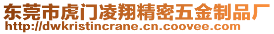 東莞市虎門凌翔精密五金制品廠
