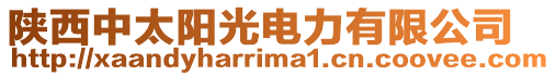 陜西中太陽光電力有限公司