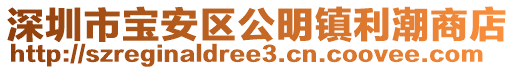 深圳市寶安區(qū)公明鎮(zhèn)利潮商店