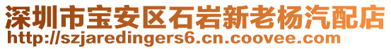 深圳市寶安區(qū)石巖新老楊汽配店