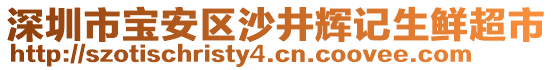 深圳市寶安區(qū)沙井輝記生鮮超市