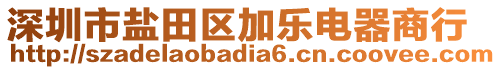 深圳市鹽田區(qū)加樂電器商行