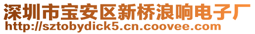 深圳市寶安區(qū)新橋浪響電子廠