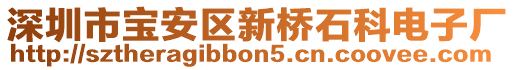 深圳市寶安區(qū)新橋石科電子廠