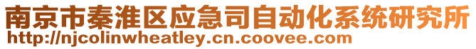 南京市秦淮區(qū)應(yīng)急司自動化系統(tǒng)研究所