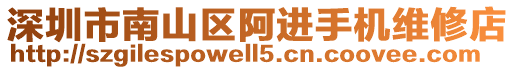 深圳市南山區阿進手機維修店