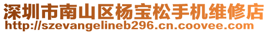 深圳市南山區(qū)楊寶松手機(jī)維修店