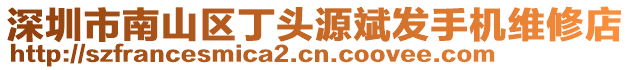 深圳市南山區丁頭源斌發手機維修店