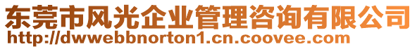 東莞市風(fēng)光企業(yè)管理咨詢有限公司