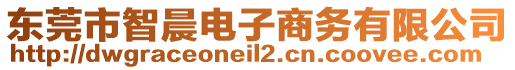 東莞市智晨電子商務(wù)有限公司