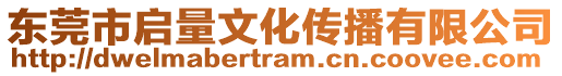 東莞市啟量文化傳播有限公司