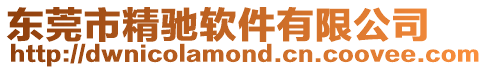 東莞市精馳軟件有限公司